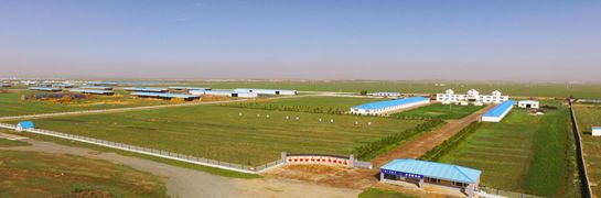 1542699263767041.jpeg 640-2.jpeg